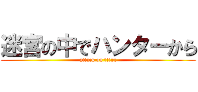 迷宮の中でハンターから (attack on titan)