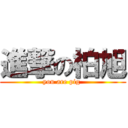 進撃の柏旭 (you are pig )