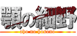顎の細野 (aho no hosono)