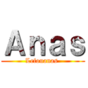 Ａｎａｓ (Lefouanas )