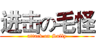 进击の毛怪 (attack on Sully)