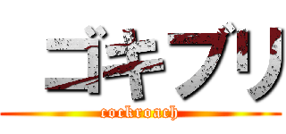  ゴキブリ (cockroach)