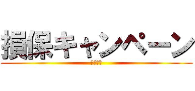 損保キャンペーン (２０１４)