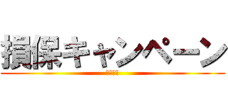損保キャンペーン (２０１４)