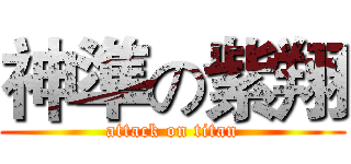 神準の紫翔 (attack on titan)