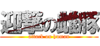 迎撃の雌豚 (attack on human)