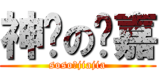 神经の刘嘉 (soso的jiajia)