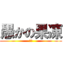 愚かの果凍 (飞机)