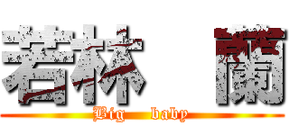 若林  蘭 (Big    baby)