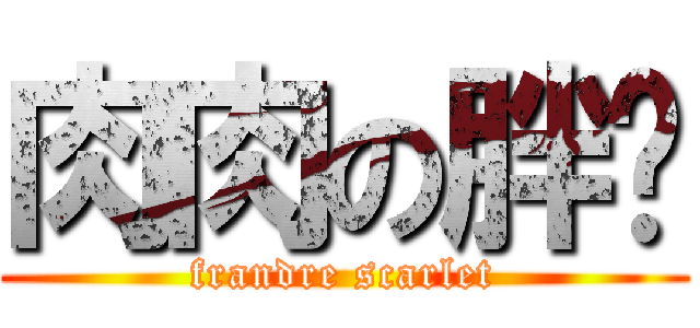 肉肉の胖喵 (frandre scarlet)