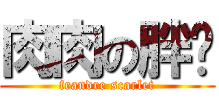 肉肉の胖喵 (frandre scarlet)