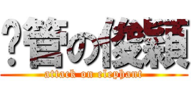 甩管の俊穎 (attack on elephant)