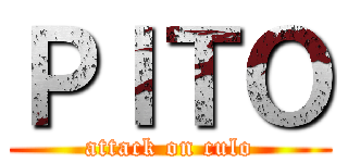 ＰＩＴＯ (attack on culo)
