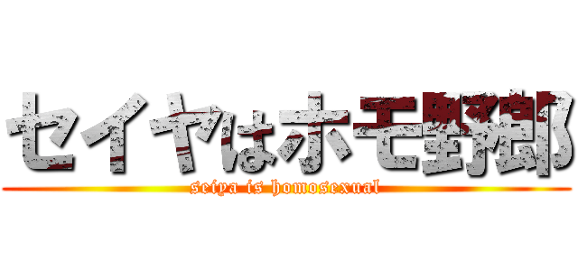 セイヤはホモ野郎 (seiya is homosexual)
