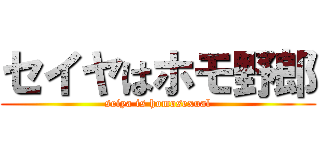 セイヤはホモ野郎 (seiya is homosexual)