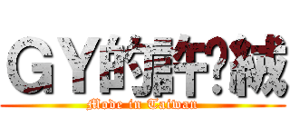 ＧＹ的許雯絨 (Mode in Taiwan)