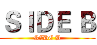 ＳＩＤＥ Ｂ (SIDE B)