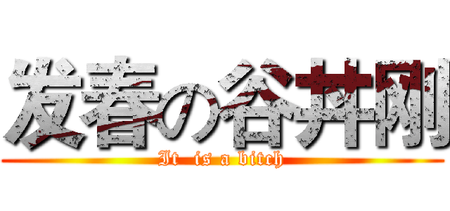 发春の谷丼刚 (It  is a bitch)