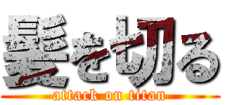 髪を切る (attack on titan)