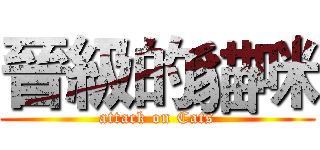 晉級的貓咪 (attack on Cats)