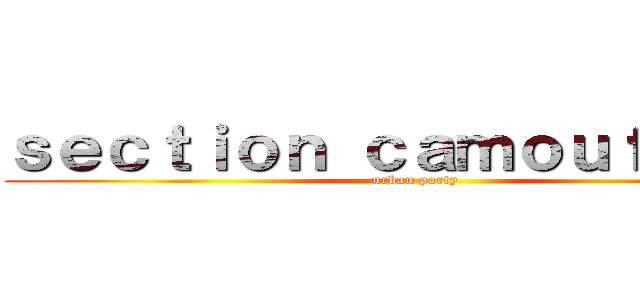 ｓｅｃｔｉｏｎ ｃａｍｏｕｆｌａｇｅ (urban party)