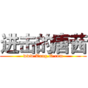 进击的唐茜 (www.Tang.Q.com)