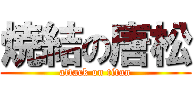 焼結の唐松 (attack on titan)