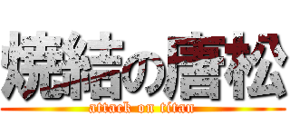 焼結の唐松 (attack on titan)