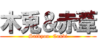 木兎＆赤葦 (Saikyou  Conbi)