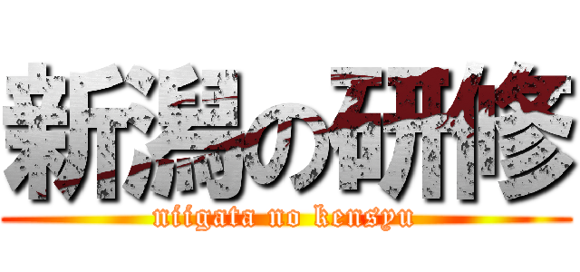 新潟の研修 (niigata no kensyu)