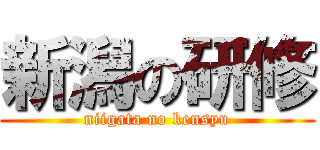 新潟の研修 (niigata no kensyu)