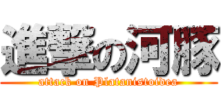 進撃の河豚 (attack on Platanistoidea)
