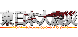 東日本大震災 (Eastjapan cat a stroph ic earth quake)