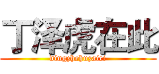 丁泽虎在此 (dingzhehuzaici)