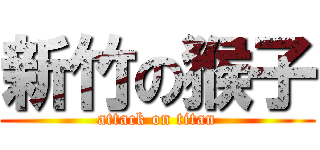 新竹の猴子 (attack on titan)