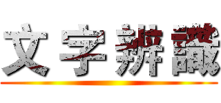 文 字 辨 識 ()
