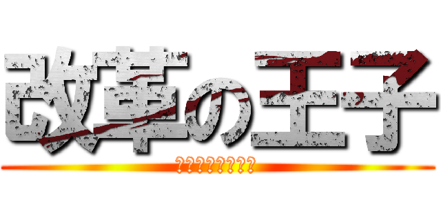 改革の王子 (へいちょかわいい)