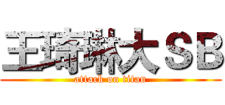 王琦琳大ＳＢ (attack on titan)