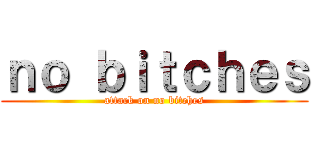 ｎｏ ｂｉｔｃｈｅｓ (attack on no bitches)