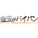 金玉がパイパン (turuturu tamabukuro)