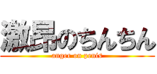 激昂のちんちん (anger on penis)
