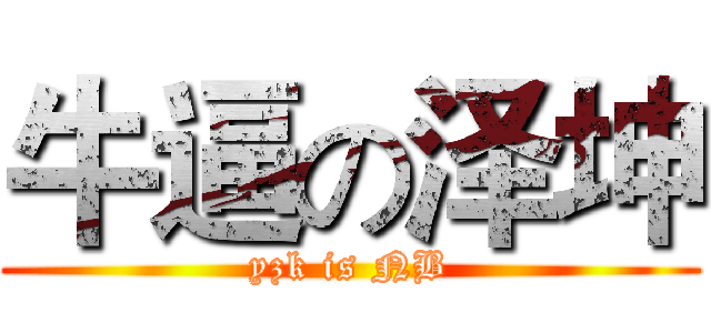 牛逼の泽坤 (yzk is NB)