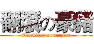 翻滾の豪豬 (Tumbling porcupine)