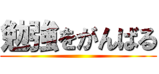 勉強をがんばる ()
