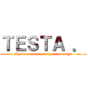 ＴＥＳＴＡ ． (System commentary and design)