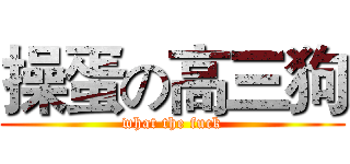 操蛋の高三狗 (what the fuck)