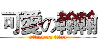 可愛の翰翰 (attack on titan)