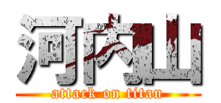 河内山 (attack on titan)