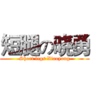 短腿の晓勇 (Short legs Xiaoyong)