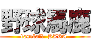 野球馬鹿 (baseball  BAKA )